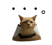 839413666
