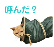 839413668