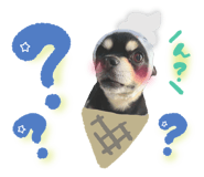 839414072