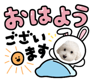 839414167