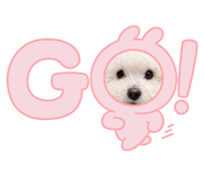 839414171