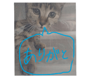 839417606