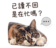 839418026