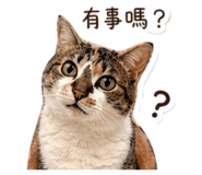 839418035