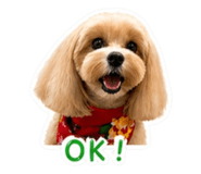 839418092