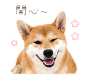 839418405