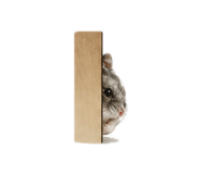839418424