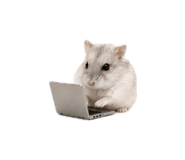 839418429