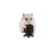 839418435