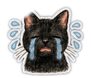 839418593