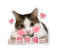 839418751