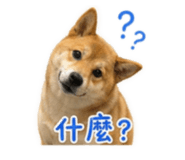 839419166