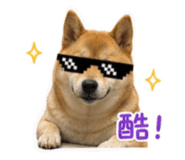 839419180
