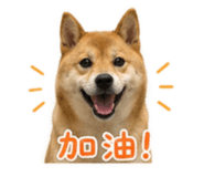 839419182