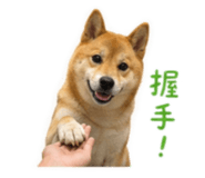 839419184