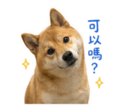 839419192