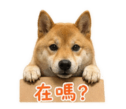 839419196