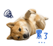 839419200