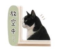 839420005