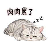 839420045