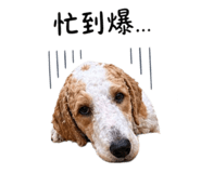 839420237