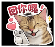 839420311