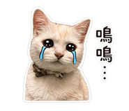 839420316