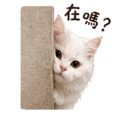 839420402