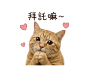 839421308