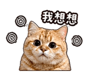 839421528