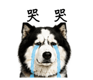 839421755