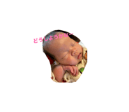 839422745