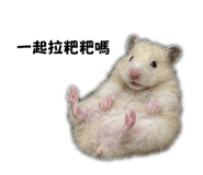 839430015