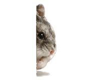 839430208