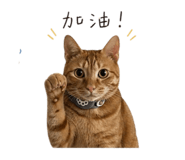 839430698