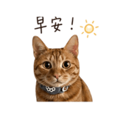839430700