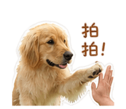 839430970
