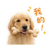 839430979