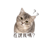 839431115