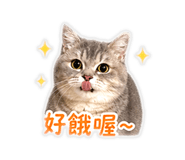 839431128