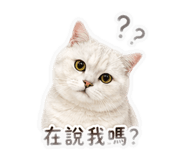 839431135