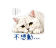839431138