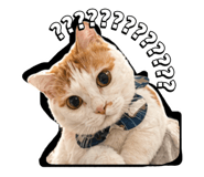 839431184