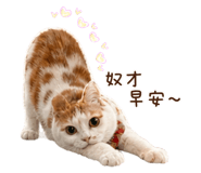 839431186