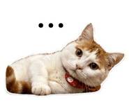 839431192