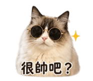 839431415