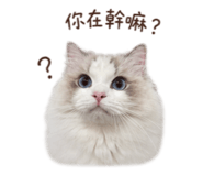 839431540