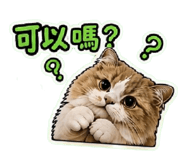 839431621