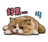 839431623