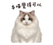 839431721